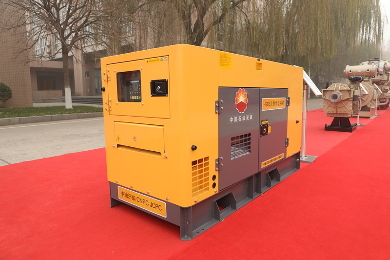 HSEE Emergency Diesel Genset